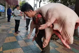 贵州街上的“背肉汉”，他一次能背起一头猪，只为家中5个子女图片