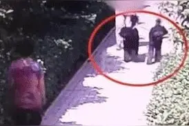 从河南“狗咬人，主人拒不道歉”说说身边的不道德行为图片