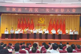 社旗县召开“两优一先”表彰大会图片
