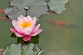 男人准备撩你的信号：克制图片