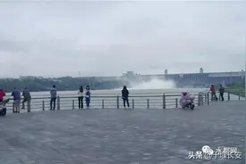 丹江口水库今年最大一次泄洪，有人在树上捡到一米长大鱼！图片