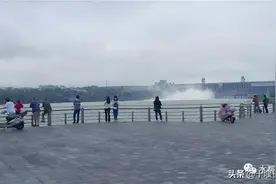 丹江口水库今年最大一次泄洪，有人在树上捡到一米长大鱼！图片