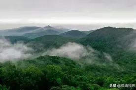 打了近十年的老山战役，中越双方各阵亡多少人？这个数字触目惊心图片