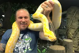 双头蛇咋吃饭？他发了段"双头蛇吃老鼠"视频，画面太丧心病狂了图片