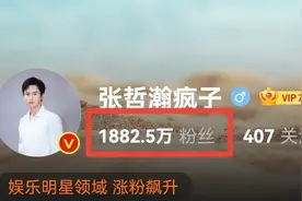 张哲瀚的1800万粉丝真猛，大家快来看看他们怎么说图片