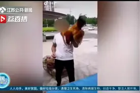 罚！南京明令禁止活禽交易，一老板不改还发短视频图片