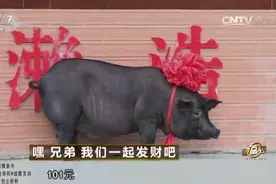 每个幻想暴富的中国人，都在这档节目里做过梦图片