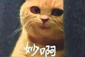 Infi克Fly、TH000克FoCuS...War3究竟有多少对血脉压制？图片