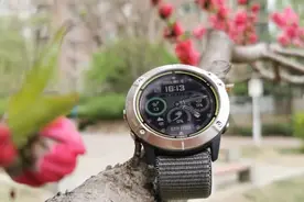 一图了解佳明运动手表跑步DIY设置图片