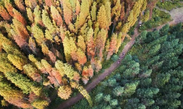 只有10%广东人才知道的粤北“云海天池红叶”，让人一眼沦陷