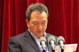 青海首富的“坠落”：财务造假，占用控股资金，如今深陷债务危机图片