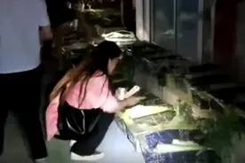 快递邮寄活体猫狗？百余“宠物盲盒”到底咋回事？图片