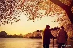 美文丨一晃，我们都老了图片