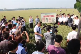 造福大众誉中原图片