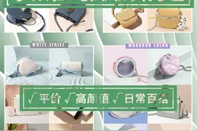 高级小众斜挎包｜百元平价款也有高颜值图片