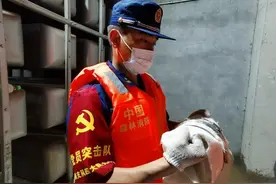 “火焰蓝”驰援郑州，这些人背后的故事更让人感动图片