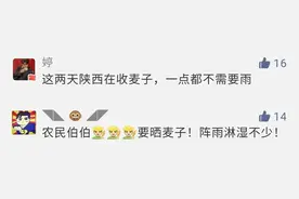 陕南暴雨成灾，榆林持续干旱，农民伯伯：我太难了图片