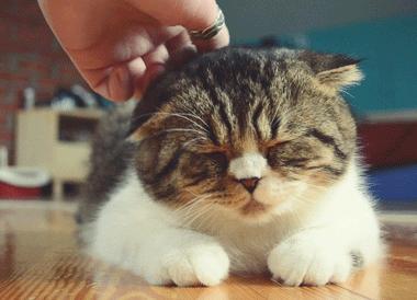 手痒怎么办越挠越痒