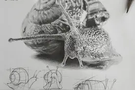 韩国结构素描作品图片