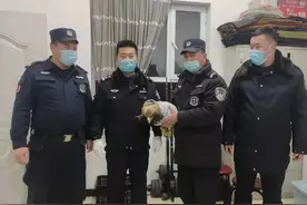 新源公安救助一只国家一级保护动物金雕图片