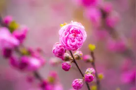 十二星座男多大年龄就不会再花心？处女座随时，摩羯座意料之外图片