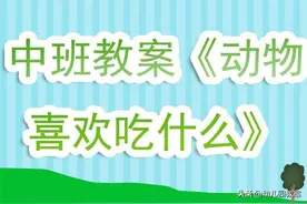 幼儿园中班教案《动物喜欢吃什么》含反思图片