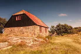 走遍南北，为何感觉到处都是东北人？图片