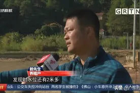 鱼凭空消失？养殖户血本无归 梅州蕉岭这个鱼塘究竟遭遇了啥？图片