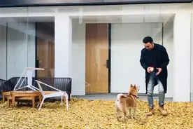 尼格买提北欧风豪宅，几乎满屋铺满了地毯，小尼这怕是有洁癖吧图片