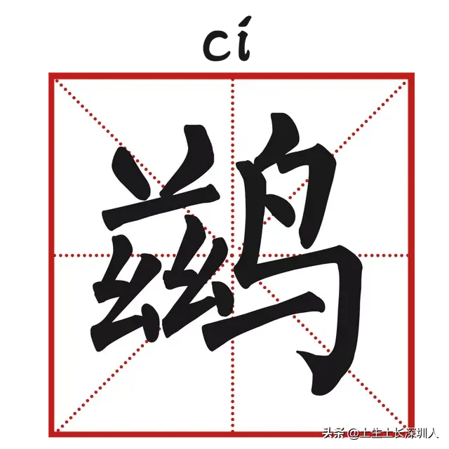 当深圳地名遇到生僻字