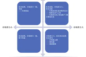 我国生物质经济发展战略研究图片