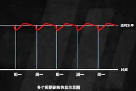 为什么一般人不适合五分化训练图片