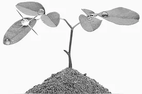 家庭教育PK学校教育：哪方更重要？图片