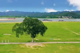 4大市区野餐推荐地！快来收集秋天的快乐.....图片