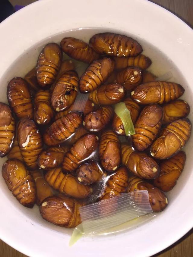 鲜香嘎嘣脆的烤蚕蛹,你敢吃吗?看出你的口味重不重,营养很高