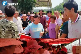 一个品种，两场观摩，百里集结，万人订购，玉米良种燃爆周口图片