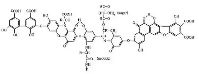 氨基酸、黄腐酸、腐植酸：三大生物刺激剂的作用与区别