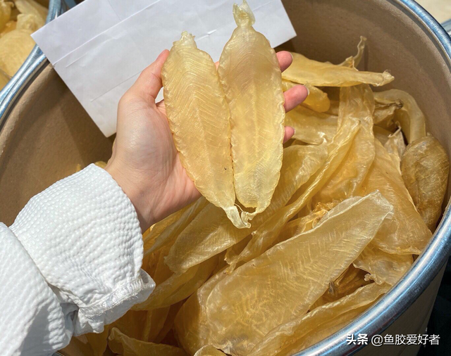 白花胶好还是黄花胶好 白花胶好还是黄花胶好,适合煲汤还是炖奶?
