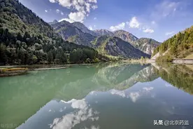 科普｜多招告别过敏性鼻炎图片