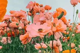 一定要站在你所热爱的世界里，闪闪发光图片