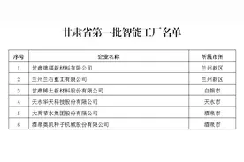 甘肃省工业和信息化厅关于发布甘肃省第一批智能工厂和数字化车间名单的公告图片
