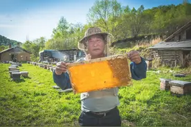 从脱贫到奔富，刘强东带领京东做对了什么图片