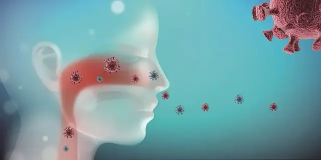 终于明白了——为什么病毒怕热不怕冷