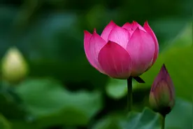 易经：你心念之事，想尽快实现，诀窍是十分耐心，七分警觉图片