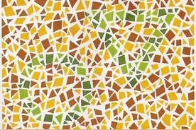 5张色觉测试图，看看你是否符合考驾照的条件图片