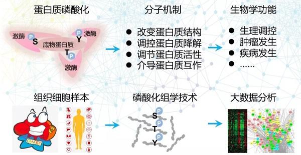 铔嬬櫧纾烽吀鍖栫爺绌舵暟鎹簱锛岀湅杩欓噷