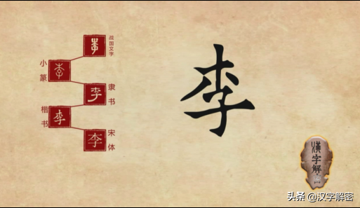 姓李的朋友注意：姓李也要知道“李”字的来历，《说文解字》这样记载