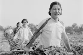 70年代的中国基建老照片 没有机械全靠人工完成图片