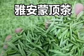 1000元以上的茶叶成本占多少，不要再做被割的韭菜了图片