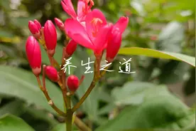 晚上睡觉总觉得脚掌很热，是怎么回事，有什么好办法解决？图片